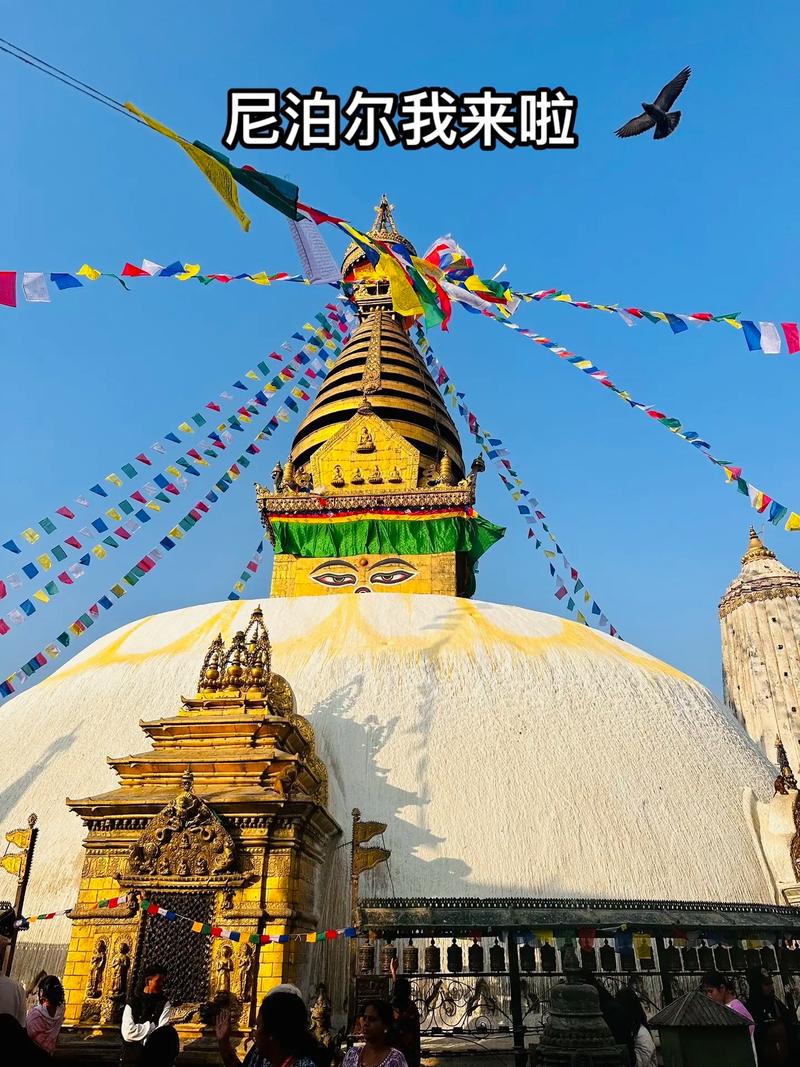 1755129329897779.jpeg 尼泊爾語(yǔ)翻譯.jpeg